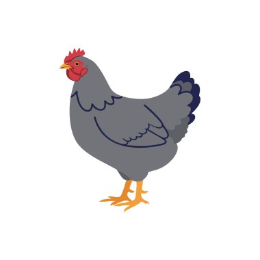 Resimlere göre kırmızı tarak ve turuncu bacaklı gri tavuk, sakin bir kırsal ruh hali sergiliyor..