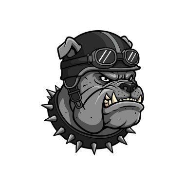 Resimde, siyah kazıklı tasma takan gri bir bulldog kafası ve gözlüklü bir motosiklet kaskı var. Öfke ve dayanıklılık gösteriyor. Vahşi bir ruh hali..