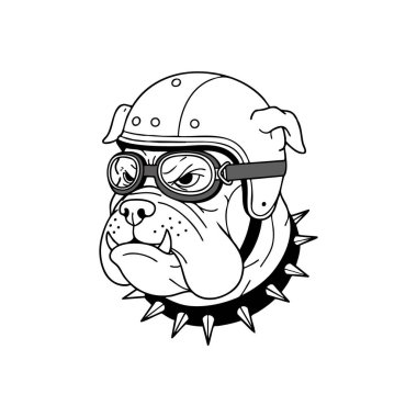 Görüntü, klasik bir kask, gözlük ve çivili bir tasma takan bir bulldog 'un sert ve cesur bir ruh hali sergilediğini gösteriyor..