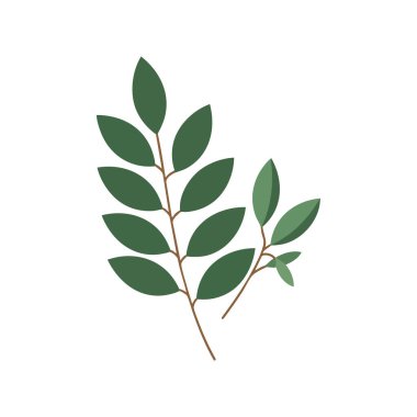 Bu vektör illüstrasyonu iki dalda minimalist tarzda ve doğal renklerde yeşil yapraklar gösteriyor. Görüntü sakinliği ve tazeliği iletir..