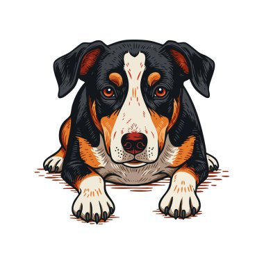 İllüstrasyon, odaklanmış gözleri ve üç renkli kürkü siyah, beyaz ve kahverengi tonlarda uzanmış bir Entlebucher Dağ Köpeğini gösteriyor. Sakin ol..