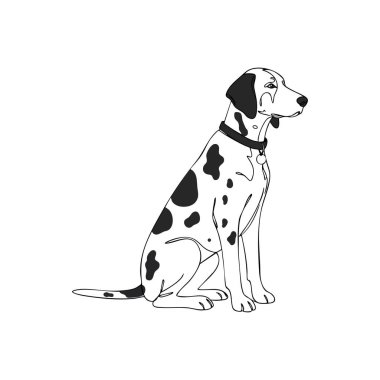 Bu vektör illüstrasyonunda, beyaz kürkte belirgin siyah noktalar bulunan, temiz ve basit bir stil sunan, sakince oturan Dalmaçyalı bir köpek görülüyor. Sakin ol..