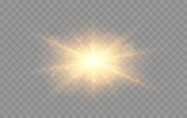 Светящиеся Звезды Золотые Векторные Огни Искры Изолированы Векторная Иллюстрация — стоковый вектор