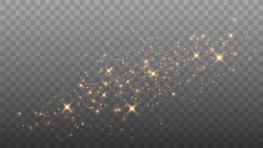 Altın ışık. Vektör Parıltısı Parçacıkları. Parlayan Bokeh