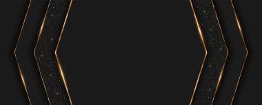 Lüks Vektör Geçmişi. Altın Çizgili Soyut Premium Ödül SancağıName.