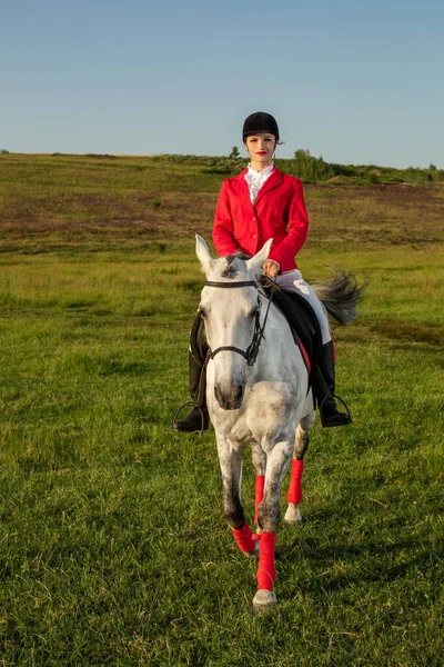 stock image Young woman rider, wearing red redingote and white breeches, with her horse in evening sunset light. Outdoor photography in lifestyle mood