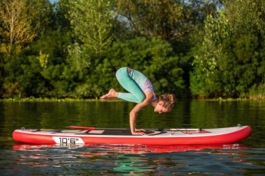 Young woman are doing yoga on a stand up paddle board SUP on a beautiful lake or river. The concept of a healthy lifestyle. Sport. Yoga. Hobby clipart