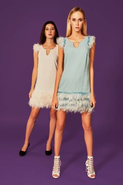 Studio fashion portrait of two elegant young women in cocktail light dresses posing in studio. The blonde in the foreground, the brunette behind her