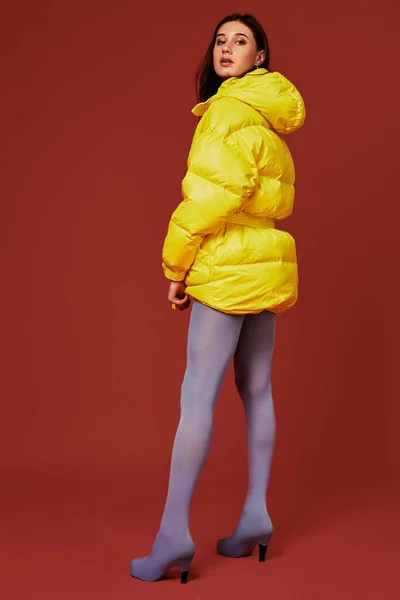 어두운 배경에 스튜디오에서 카메라 포즈의 이미지 재킷을 여자의 이미지입니다 — 스톡 사진
