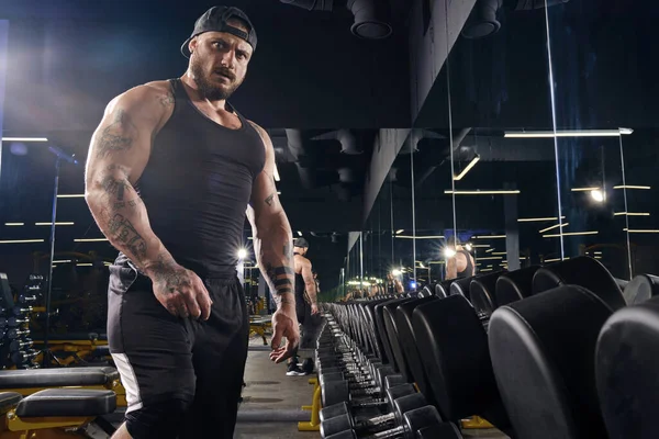 Attractive, tattooed, bearded man in black shorts, vest, cap. Going to do exercises with dumbbells for training his muscles, looking at you, standing near set of black weights. Dark gym. Close up