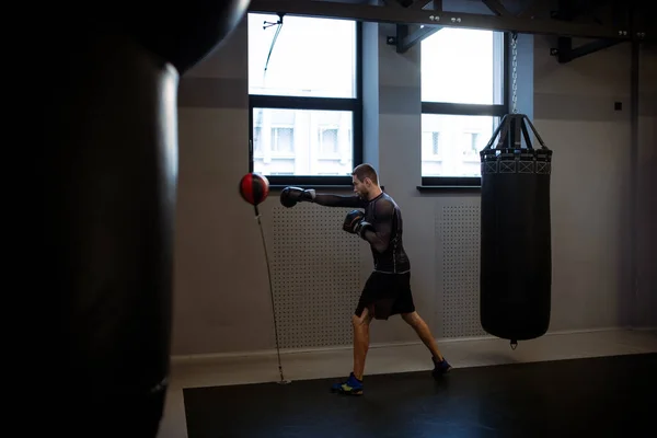 Focused athlete in boxing gym working on punching technique and speed with red and black double-end bag during training session