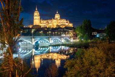 Şafakta şehrin kadınının katedrali. İspanya 'nın Salamanca şehrinin dünya mirası.