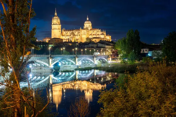 Şafakta şehrin kadınının katedrali. İspanya 'nın Salamanca şehrinin dünya mirası.
