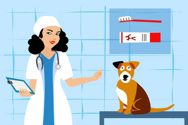 Veterinarian Menunjukkan Pentingnya Menggosok Gigi Anjing Kebersihan Oral Untuk Anjing - Stok Vektor