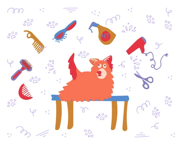 Догляд Собаками Догляд Домашніми Тваринами Гребінці Щітки Ножиці Фен Фен — стоковий вектор