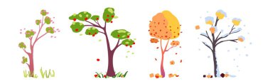 Mevsimler, farklı dönemlerde ağaçlar. Vektör çizimi, mevsimlerin değişimi konsepti. Bahar Yazı Sonbahar Kışı. 