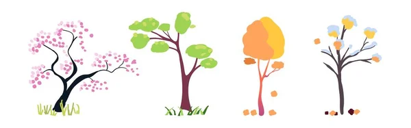 不同时期的树 病媒图解 季节变换的概念 春夏秋冬 — 图库矢量图片
