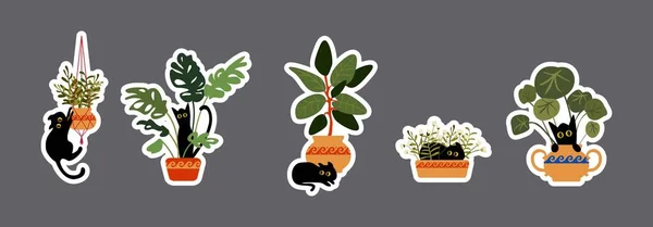 Set Dessin Animé Chat Noir Dans Pot Avec Des Plantes — Image vectorielle