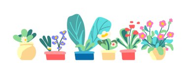 Kapalı alan bitkilerinin botanik seti. Çiçekler ve yapraklar tencerede. Çiçek açan bitkiler. Çiçekler ve yapraklar. Beyaz arkaplanda düz grafik vektör çizimi. Renkli el çizimi