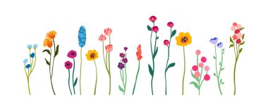 Yapraklı, uzun saplı narin kır çiçekleri. Basit çiçek elementleri. Beyaz arka planda yaban bitkileri. Düz vektör illüstrasyonu.