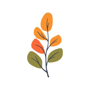 Halk bitkisi. Bir dalda basit çeşitlilikte yapraklar. Çizgi film sonbahar botaniği. Minimalist tarzda. Düz izole vektör illüstrasyonu