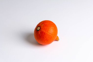 Beyaz arka planda küçük turuncu balkabağı, sonbahar hasadı