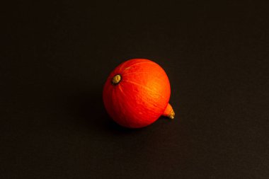 Siyah arka planda küçük turuncu balkabağı, sonbahar hasadı