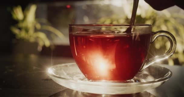 用茶匙把糖倒入一杯茶中 早晨好 窗户上的光线照亮了杯子 — 图库视频影像