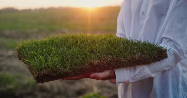 Männliche Hände Halten Ein Stück Land Mit Grünem Gras Ökologie — Stockvideo