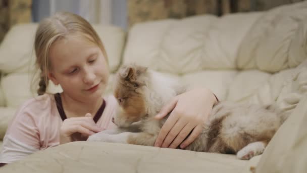 Mädchen Spielt Mit Einem Welpen Auf Der Couch Ihrem Haus — Stockvideo