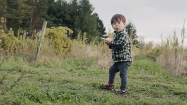 一个有趣的农场男孩沿着葡萄园走着 吃着一个苹果 — 图库视频影像