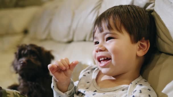 Vrolijk Aziatisch Kind Dat Kijkt Glimlachend Zit Een Puppy Naast — Stockvideo