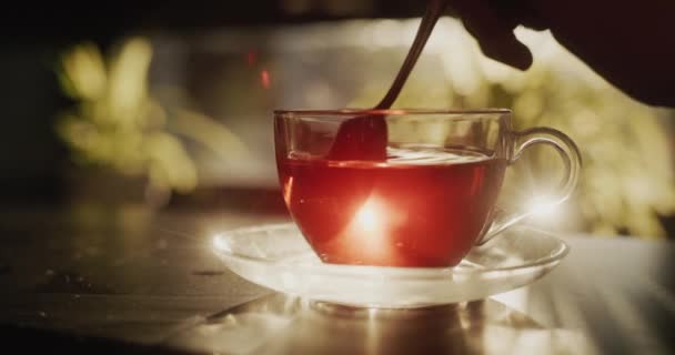 Şeker Bir Bardak Çayın Içinde Karıştırılır Sabah Güneşi Sıcak Içeceği — Stok video