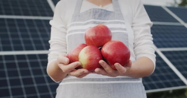 Die Hände Der Bauern Halten Mehrere Reife Äpfel Den Händen — Stockvideo