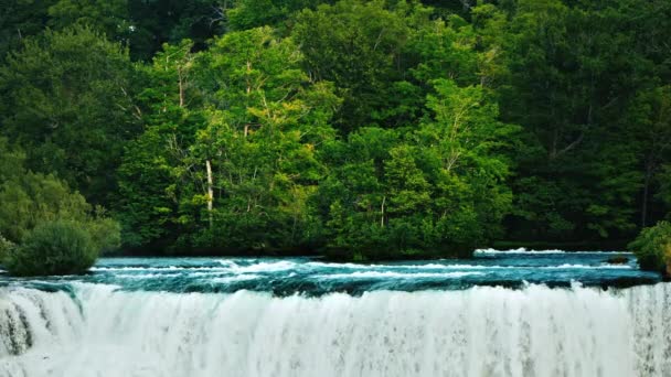 Rivière Niagara Coule Forêt Donnant Naissance Aux Chutes Niag Une — Video