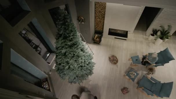 Die Familie Besteigt Und Schmückt Den Neujahrsbaum Draufsicht — Stockvideo