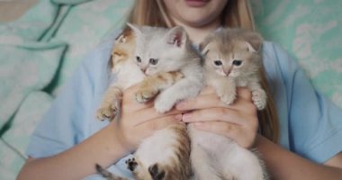 Elinde üç sevimli kedi yavrusu tutan bir çocuk. 4k video
