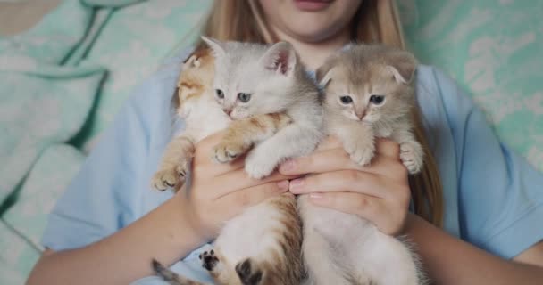 Niño Sosteniendo Tres Gatitos Lindos Sus Manos Vídeo — Vídeos de Stock