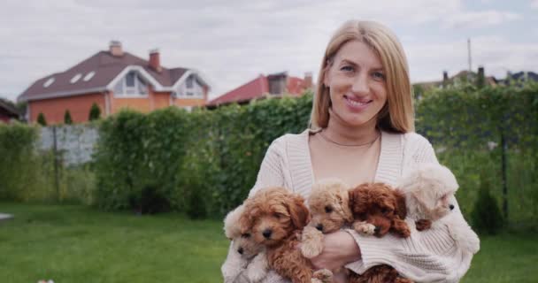 Portrait Happy Woman Holding Five Maltipoo Puppies Her Hands — Vídeo de Stock