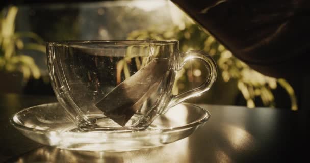 Poşetli Siyah Çay Cam Bir Fincanda Demlenir — Stok video