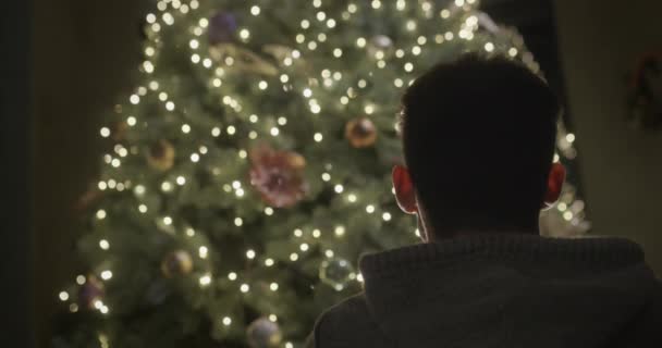 Silueta Muže Který Obdivuje Vánoční Stromek Světla Girlandů Jasně Svítí — Stock video