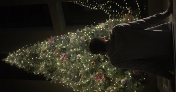 クリスマスツリーを賞賛する男のシルエット ガーランドの光はクリスマスツリーに輝いています — ストック動画
