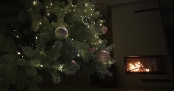 Noel Ağacı Çelenklerle Süslenmiş Şöminede Ateş Arka Planda Yanıyor Geniş — Stok video