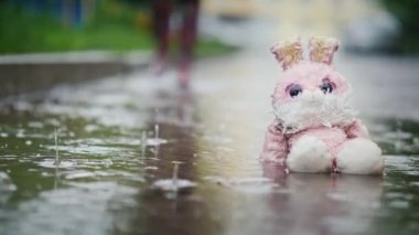 Nemli, peluş bir tavşan yağmurda bir su birikintisi oturuyor. Yoldan geçen ler. Kayıtsızlık ve soğukluk kavramı. 4k video
