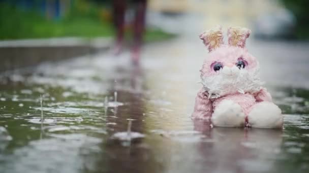 Damp Plush Bunny Sitting Puddle Rain Passer Passes Indifference Coldness — Stock Video