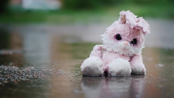 Мокрий Іграшковий Заєць Стає Мокрим Під Дощем Сидить Холодному Асфальті — стокове відео