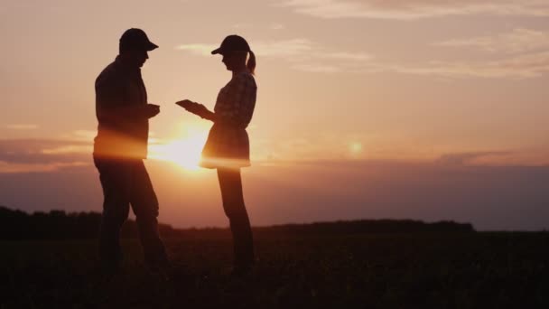 二人の農民は 日没時 夜の分野で働きます 男と女 何かを話し合う タブレットを使用します ビデオ — ストック動画