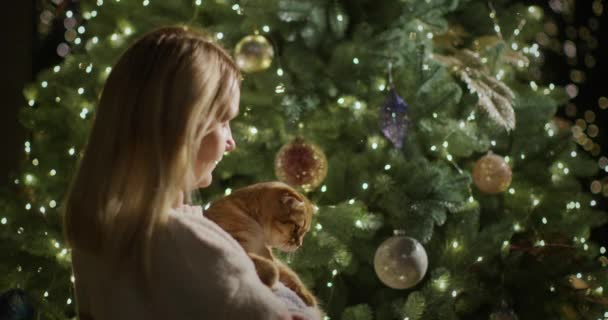 가슴에 고양이를 크리스마스 트리에 감탄하는 — 비디오