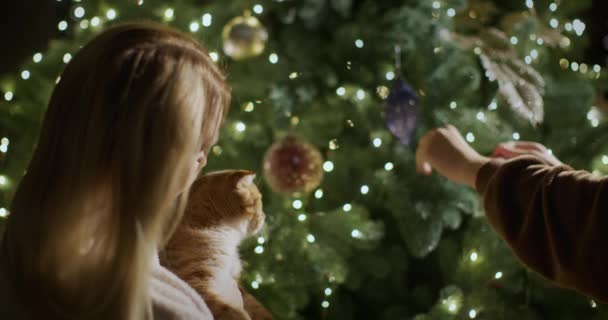 Οικογένεια Διακοσμεί Χριστουγεννιάτικο Δέντρο Μια Γυναίκα Μια Γάτα Στα Χέρια — Αρχείο Βίντεο