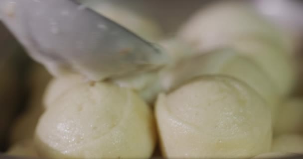 Dumplings Poured Delicious Creamy Sauce — Stock Video
